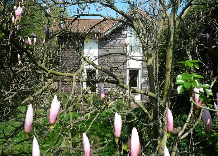 Ferienhaus Gästehaus Im Park *