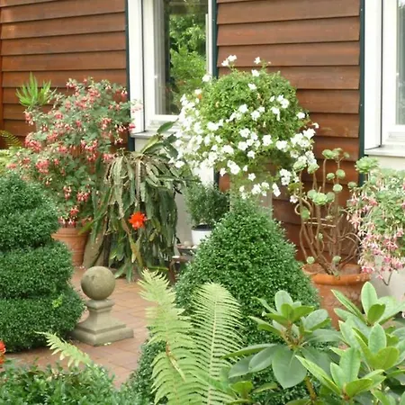 Casa vacanze Gaestehaus Im Park *